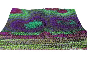 Auramancy Chiropractic after